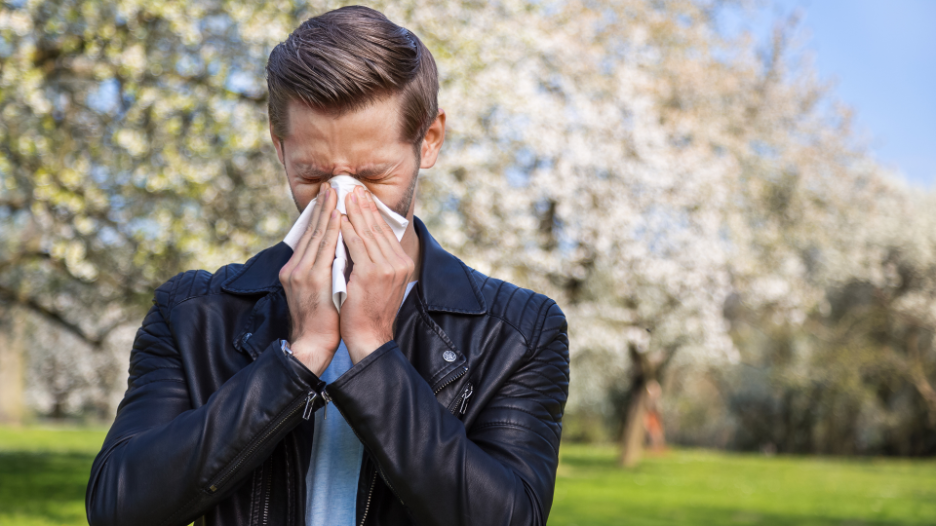 Man sneezing from severe tree pollen allergy symptoms
