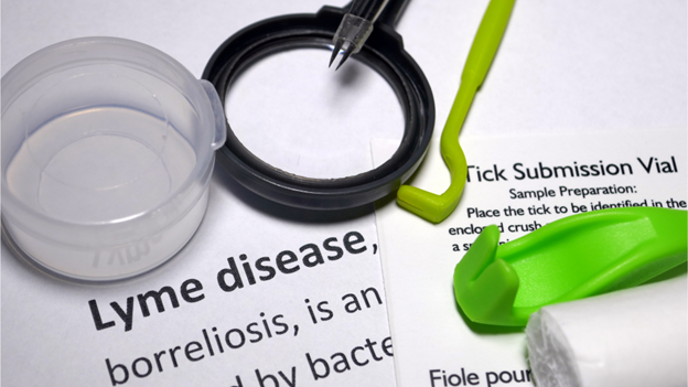 Paper with common Lyme disease description next to tick removal kit